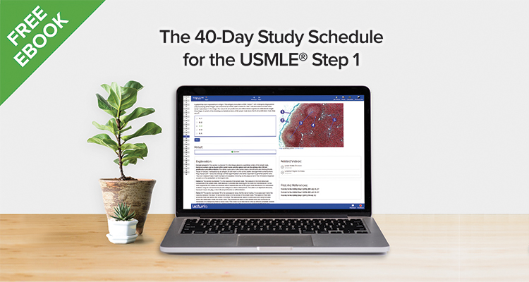 doctors in training usmle step 1 free download