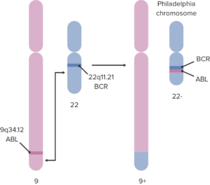 Leukemia (Blood Cancer) — Classification and Typification | Lecturio