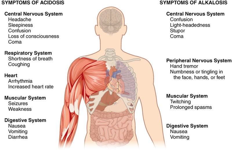 Signs and symptoms of alkalosis