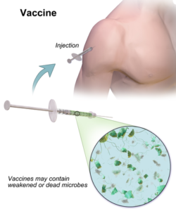 vaccine
