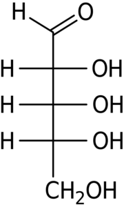 DRibose_Fischer