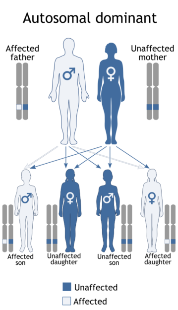 digeorge-syndrome-22q11-2-deletion-syndrome-online-medical-library