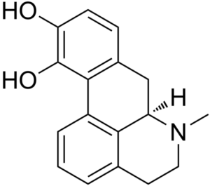 Structural formula of apomorphine