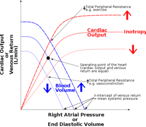 factors affecting venous return