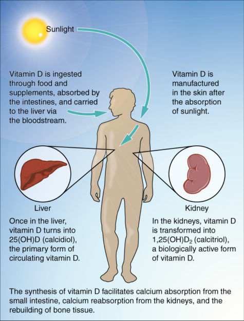 Synthesis of vitamin D