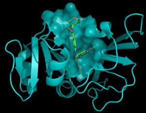 methotrexate