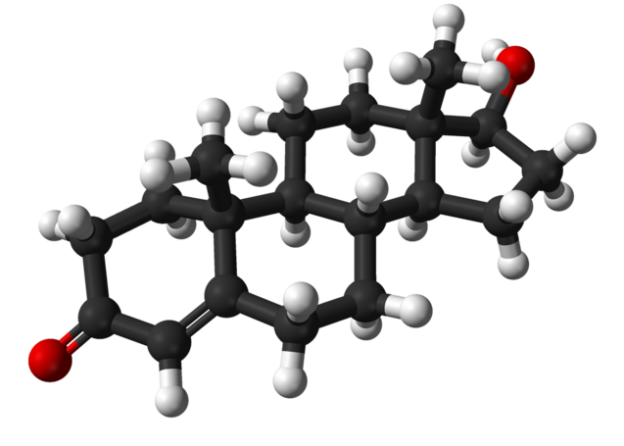 Testosterone