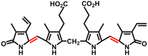 Bilirubin
