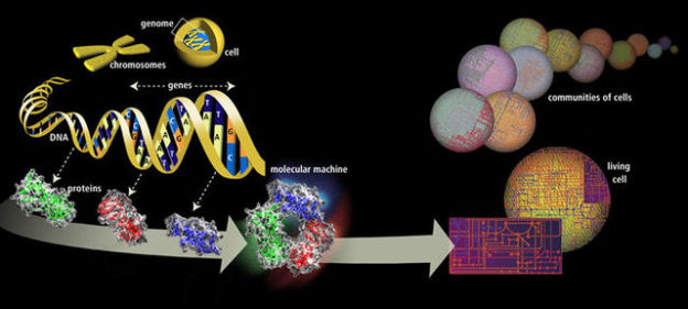 Genome-DNA