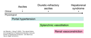 HRS – hepatorenal syndrome