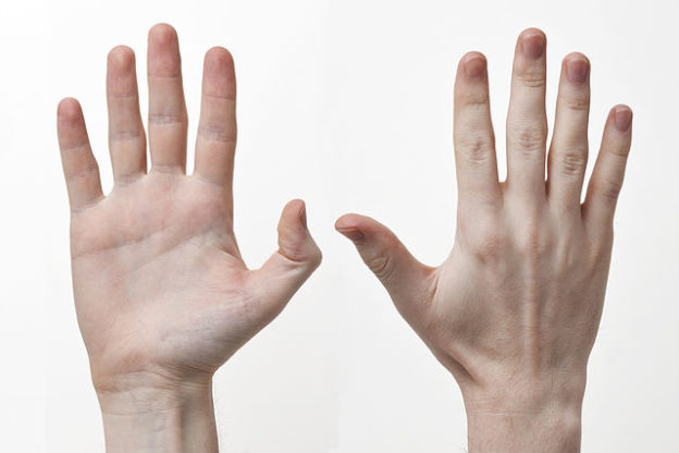 Mãos e dedos