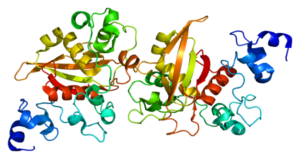 Protein NOTCH2 PDB alagille syndrome