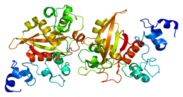 Protein NOTCH2 PDB alagille syndrome