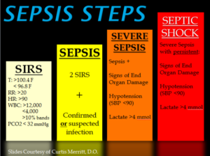 sepsis steps