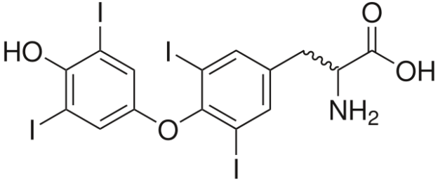 thyroxine structural formula