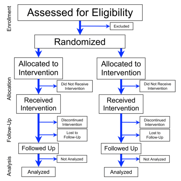 flowchart of phases of parallel randomized trial