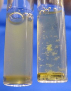 Aggregation of platelets