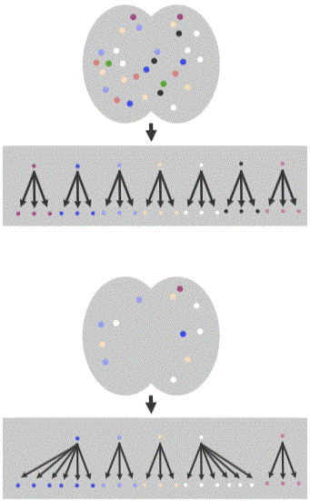 Aging and Immunodefiency