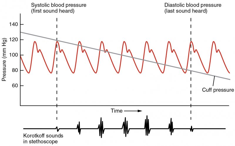 Blood Pressure Graph