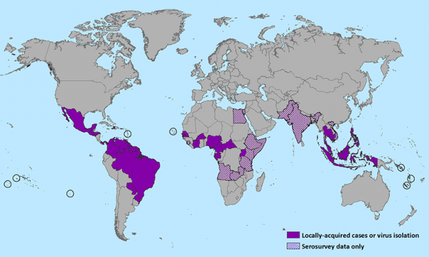 Countries that have past or current evidence of Zika virus transmission Countries that have past or current evidence of Zika virus transmission