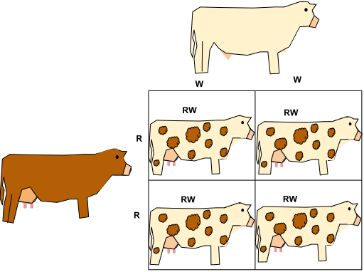 cattle range laws cattle range laws