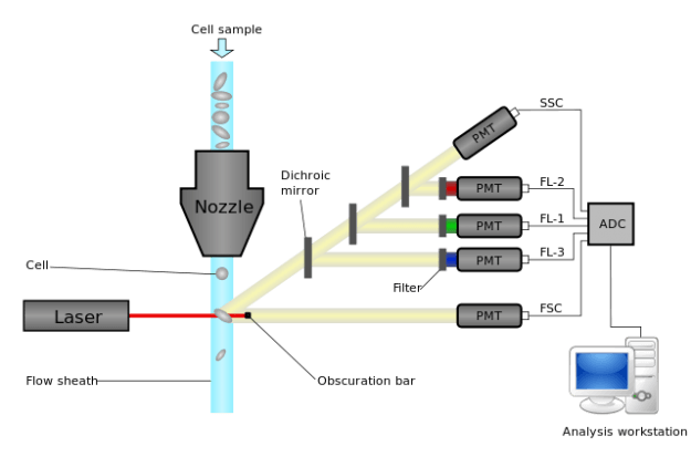 Cytometer Cytometer