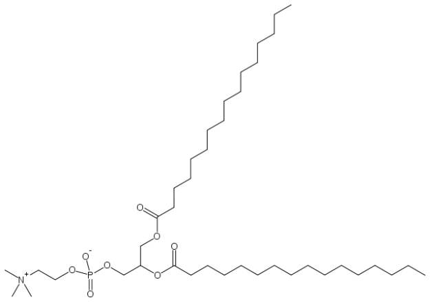 Dipalmitoylphosphatidylcholine