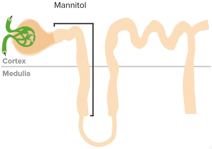 Mannitol