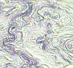 Elastic fibers Elastic fibers
