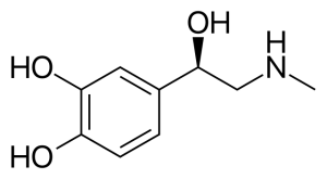 Epinephrine Epinephrine