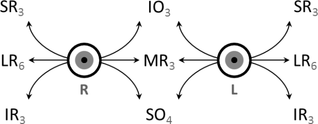 Extraocular muscles – actions and innervation