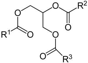  Fat structural formulae