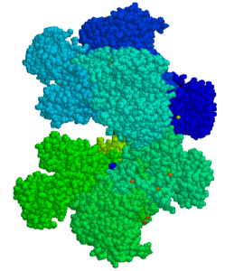g6pd_-_3d_structure