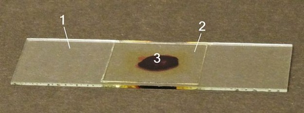 Histological technique Histological technique