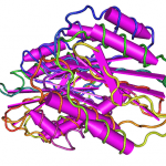 Human von Willebrand Factor Human von Willebrand Factor
