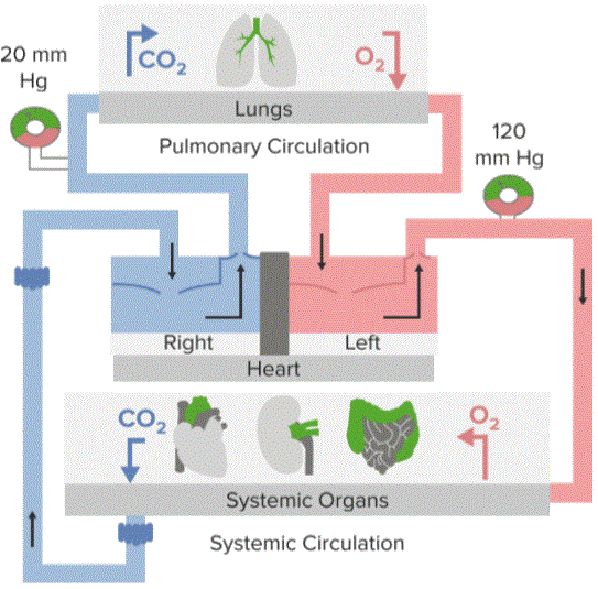 Hypoxemia