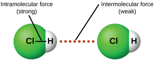 chemical-bonding-intramolecular-and-intermolecular-bonds