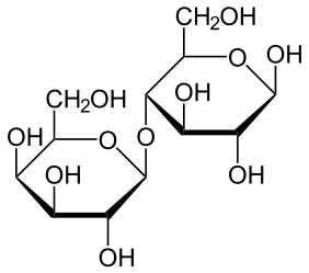 β-Galaktose (1,4)-Glucose
