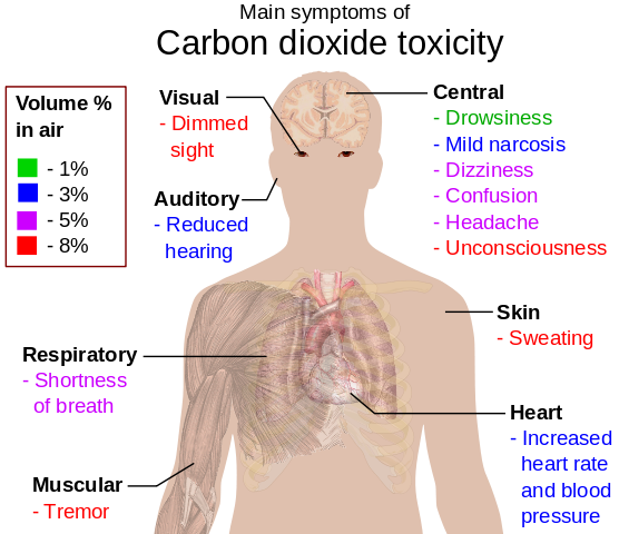 Main symptoms of carbon dioxide toxicity