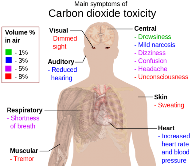 Main symptoms of carbon dioxide toxicity