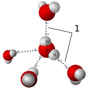 Model of hydrogen bonds in water