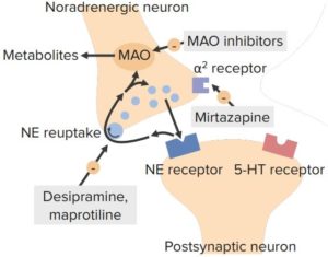 Monoaxime Oxidase Inhibitors