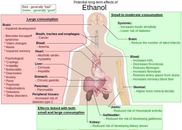 Most significant possible long-term effects of ethanol