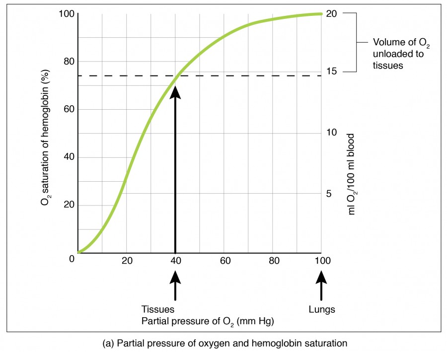 Oxygen-hemoglobin Dissociation