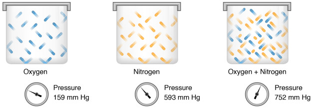 Partial pressure of gases