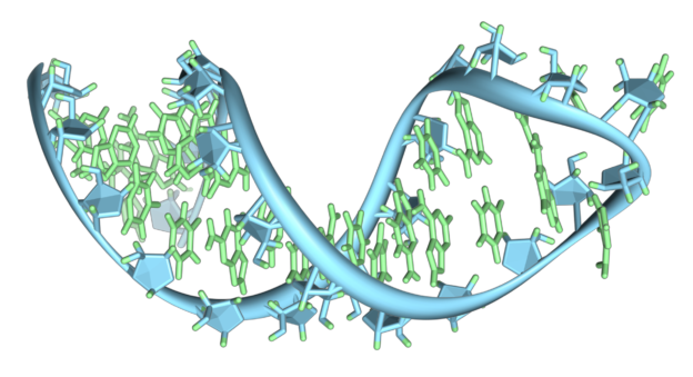 Prä-mRNA-1ysv-Röhrchen
