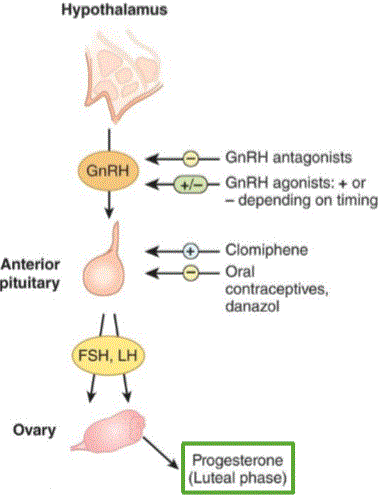 Progestins