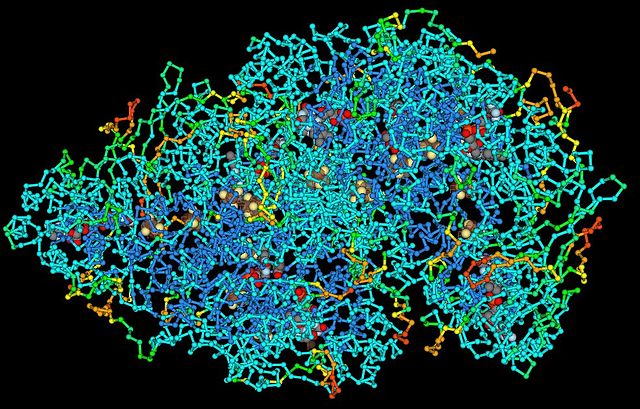 Protein Structure