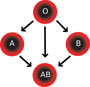 Red blood cell compatibility chart