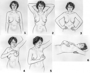 Self exam Palpate nodes Self exam Palpate nodes